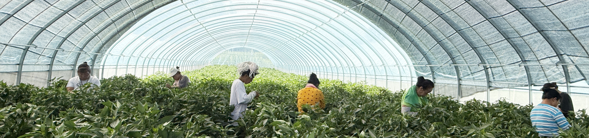 Exhibition_ANHUI HUIDA AGRO CO., LTD